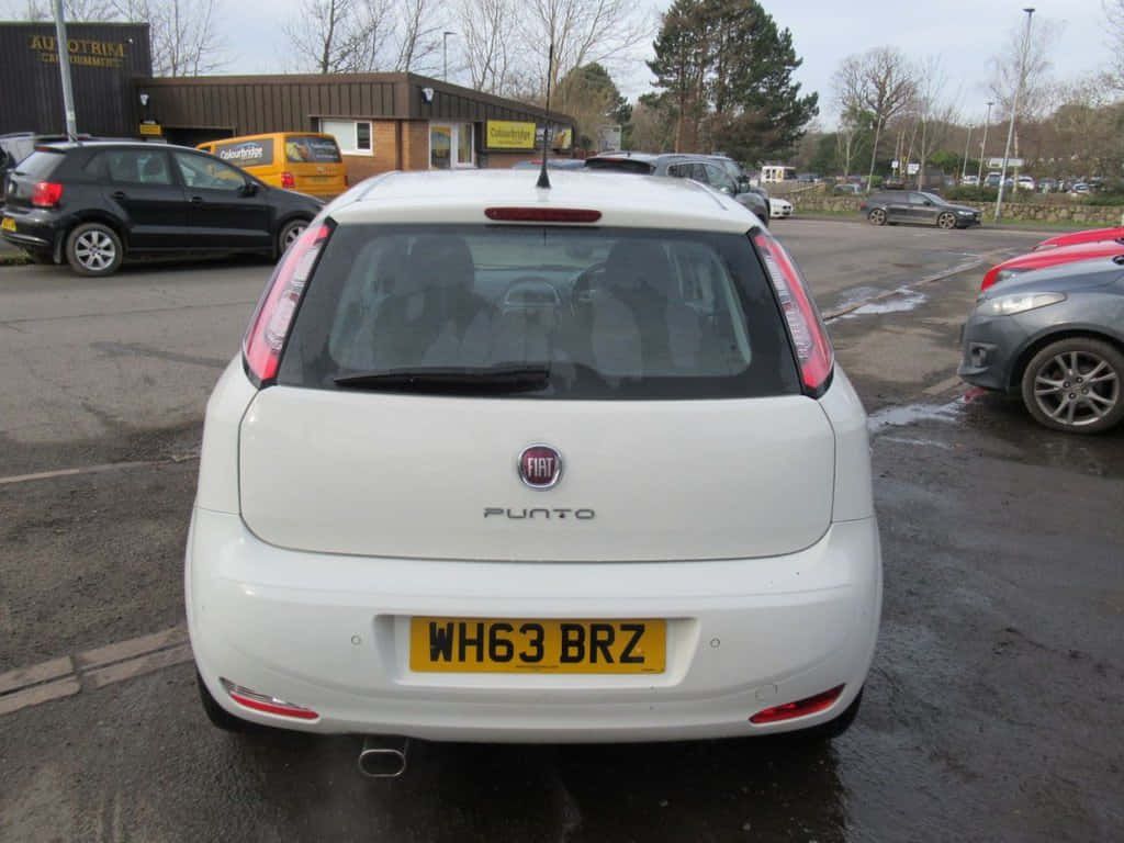 Fiat Punto 桌布 壁紙 — 從後方看一輛白色快意Punto停泊在濕漉漉的停車場，背景有其他車輛和光禿禿的樹木。