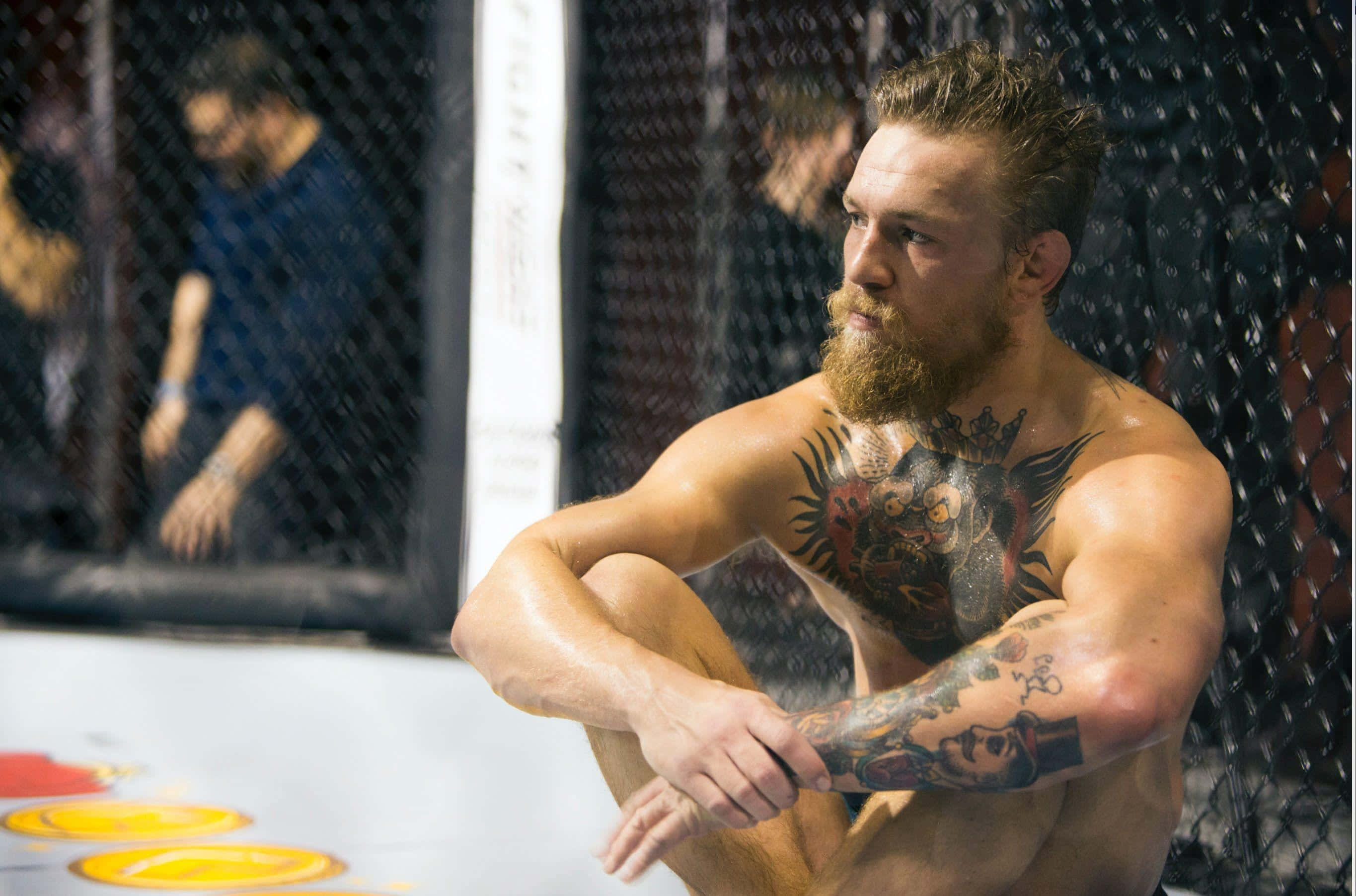 Conor McGregor，終極格鬥冠軍賽超級巨星。 壁紙