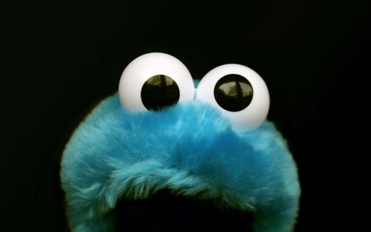 Cookie Monster 桌布 壁紙 — Cookie Monster 藍色毛茸茸的臉部特寫，有著大大的白色眼睛，背景為黑色。