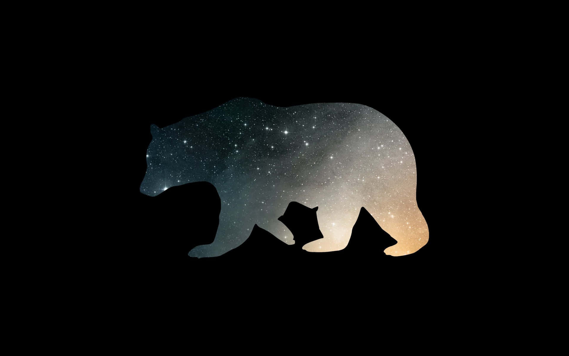 熊剪影，填充了星星和宇宙色彩，背景為黑色