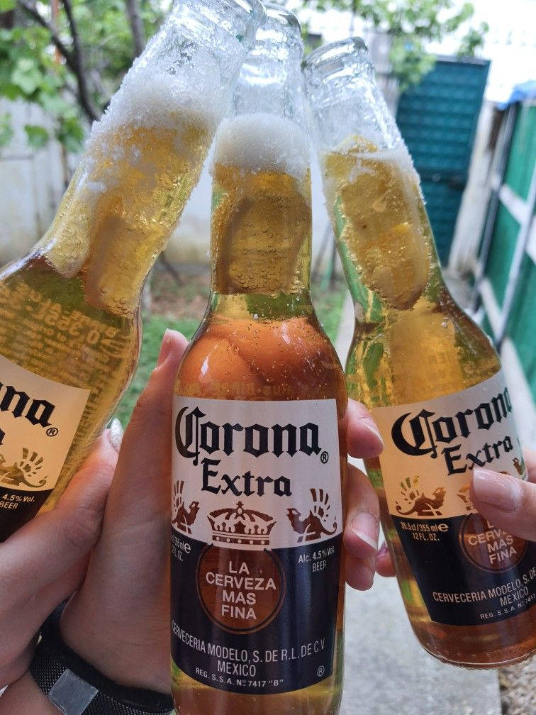 Corona Extra 啤酒乾杯 壁紙 — 三隻手在明亮的戶外背景下碰杯，手持冰凍的Corona Extra啤酒瓶，瓶口有泡沫。
