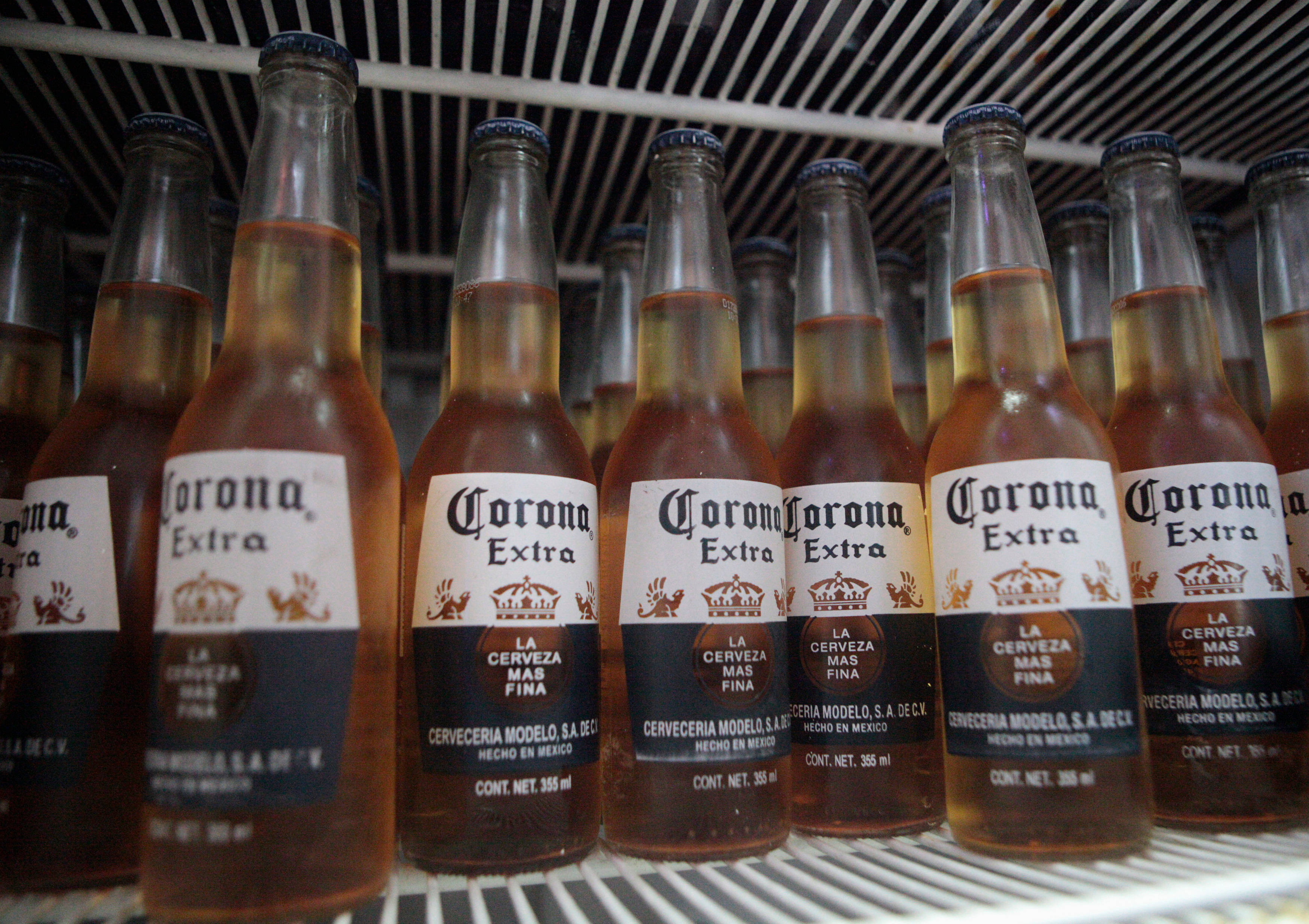 Corona Extra 墨西哥啤酒 壁紙 — 一排排冰凍的Corona Extra啤酒瓶，放在帶有條紋內部照明的雪櫃中。