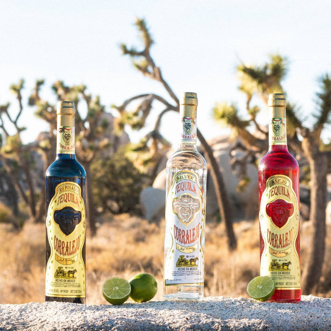 Corralejo 高級龍舌蘭酒墨西哥烈酒 壁紙 — 三款色彩繽紛的Corralejo龍舌蘭酒瓶矗立在岩石沙漠邊緣，背景有約書亞樹和溫暖的陽光。