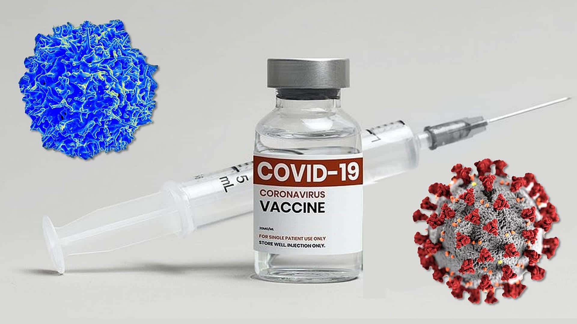 COVID-19疫苗瓶、注射器和病毒模型。