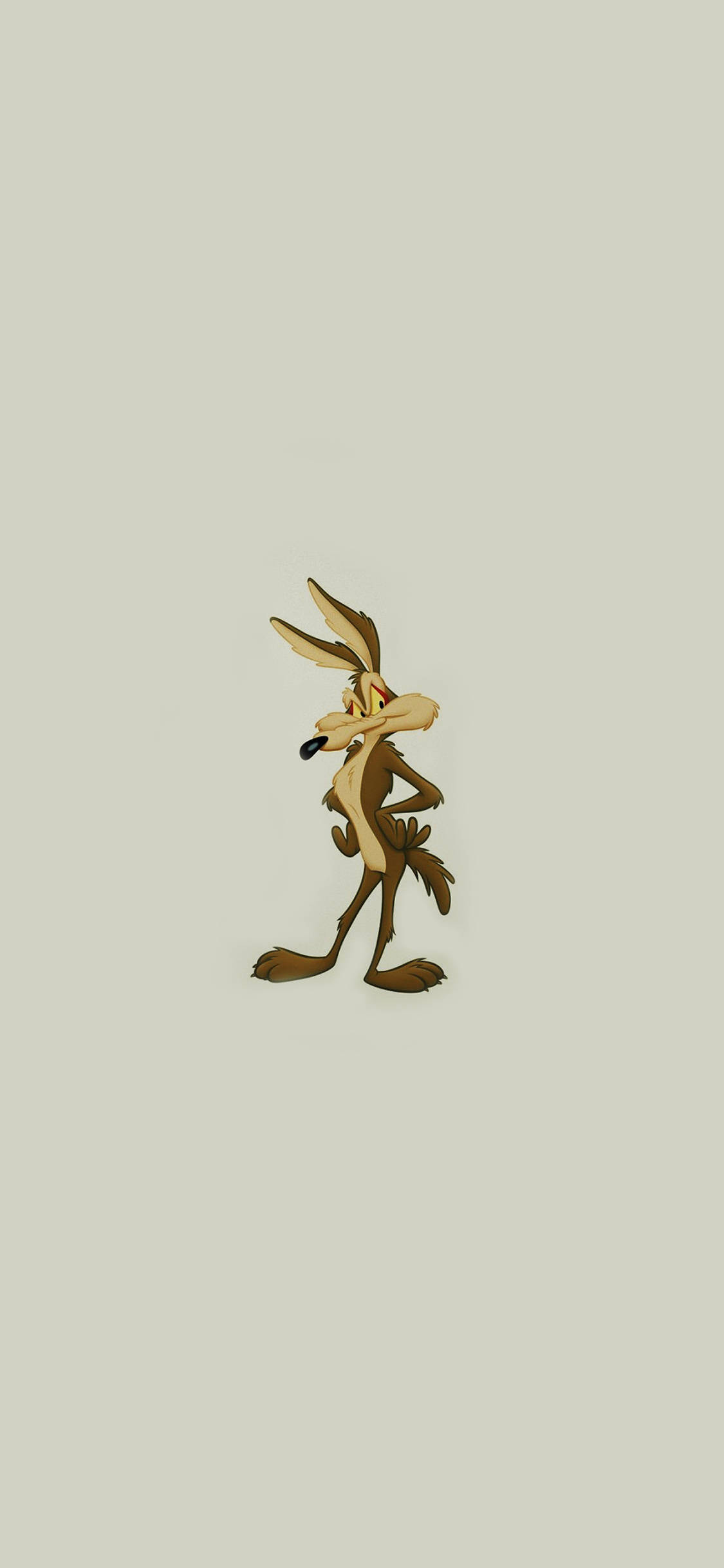 威利· Coyote 極簡風格 壁紙 — Wile E Coyote 獨自站在純米色背景前，表情沮喪。
