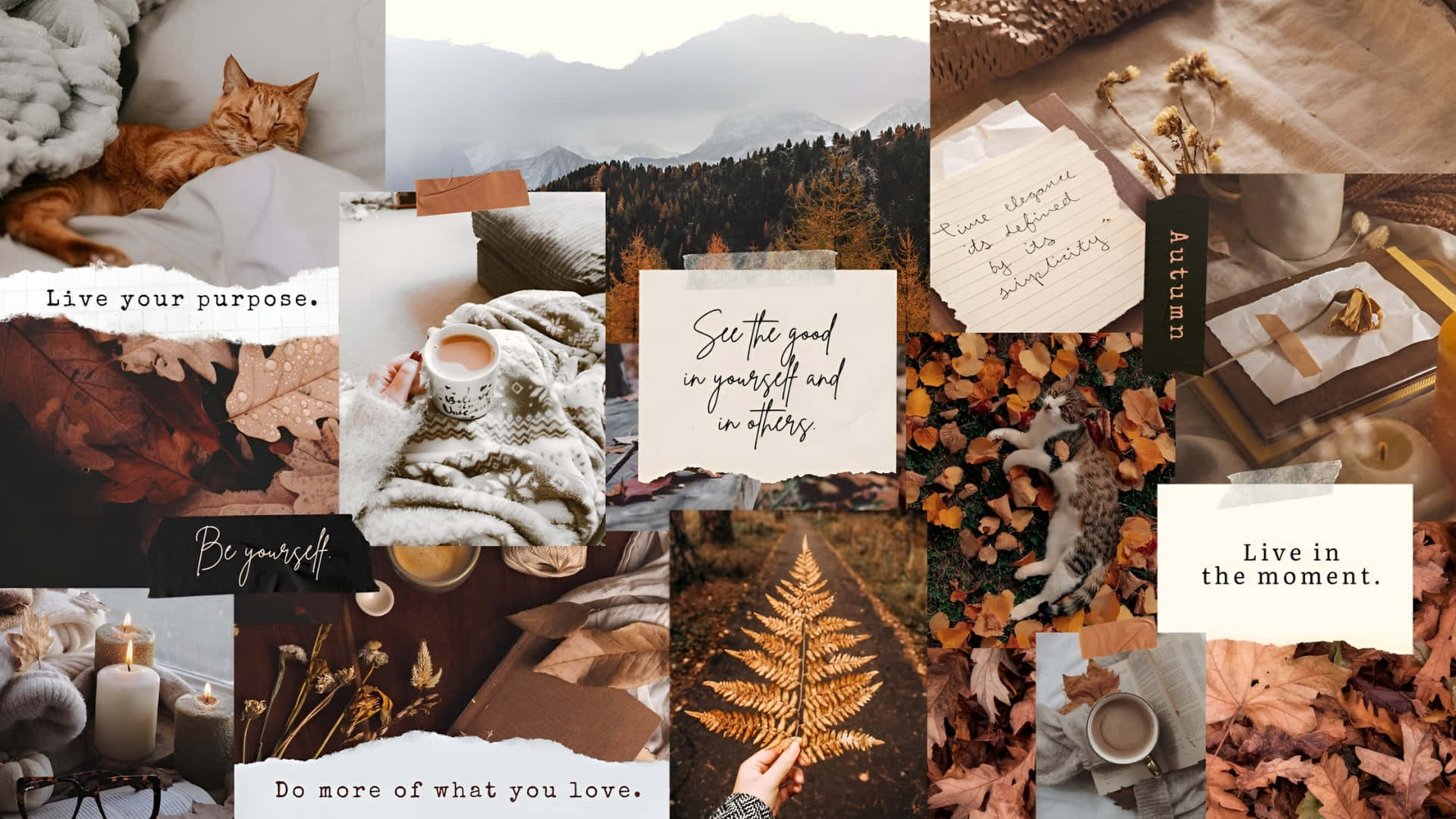  壁紙 — 一個舒適的秋季拼貼畫，包含貓咪、毯子、咖啡、蕨類植物和勵志語錄，背景為溫暖的大地色調。