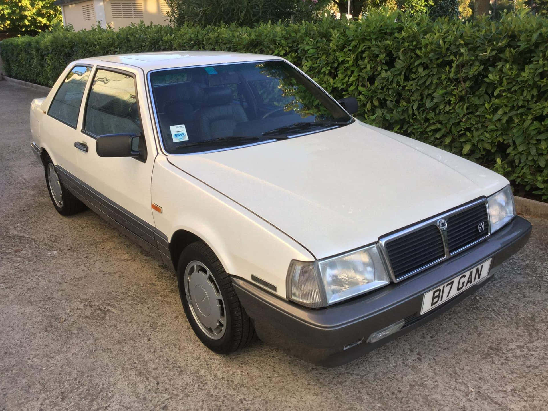  壁紙 — 一輛奶油色和黑色的Lancia Thema轎車停在碎石車道上，旁邊是茂密的綠色樹籬。
