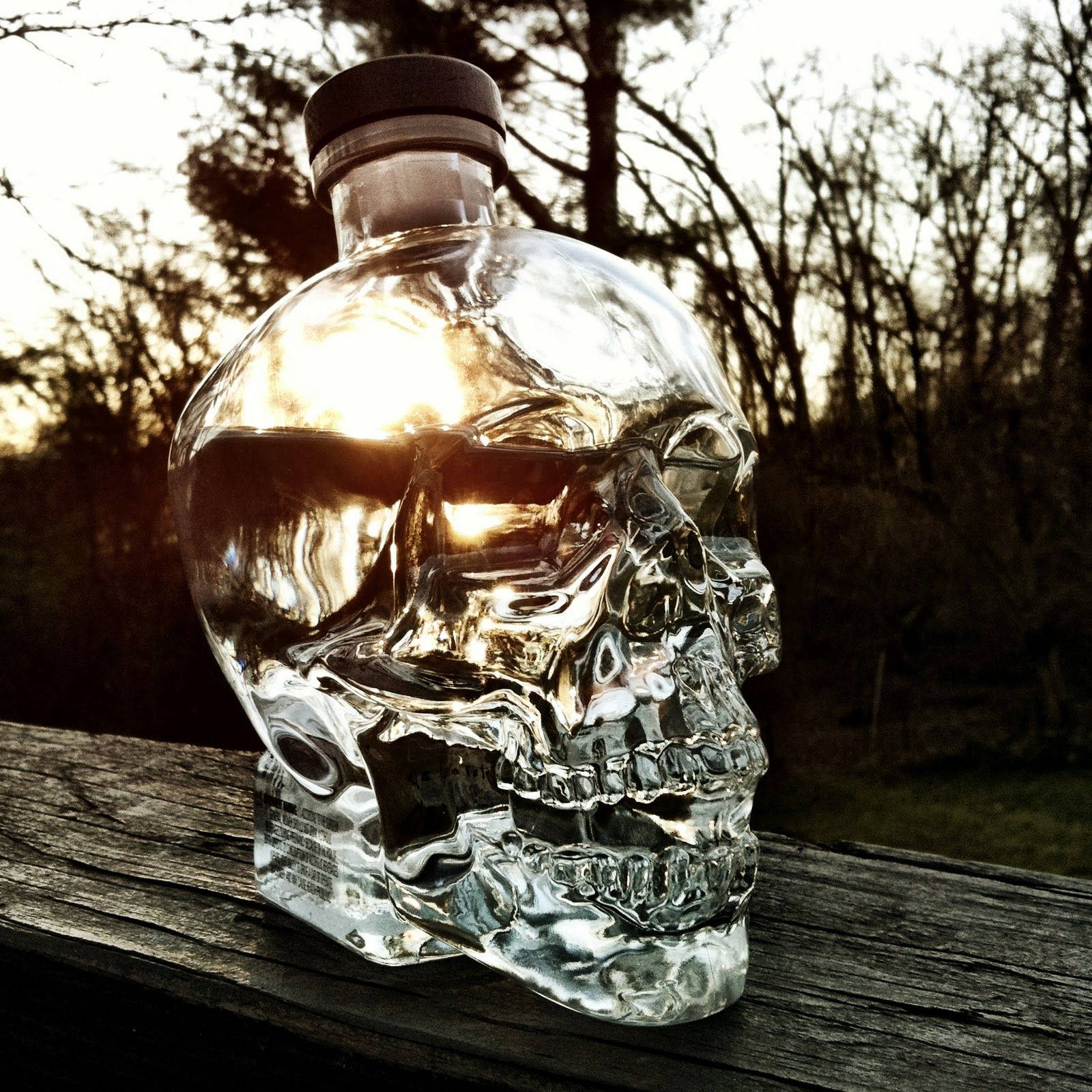 日落時分的Crystal Head伏特加 壁紙 — 一個透明的骷髏頭形伏特加酒瓶在夕陽下閃耀，放在風化的木頭上，背景是光禿的樹木。