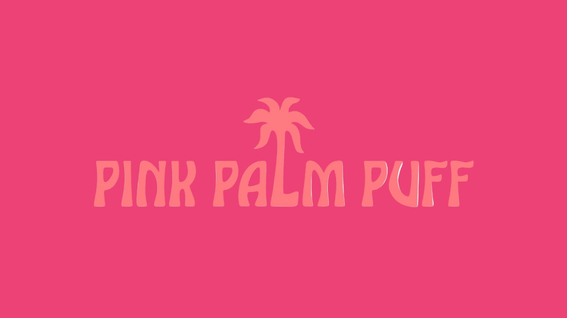  壁紙 — 粗體粉紅色文字顯示「PINK PALM PUFF」，並在純粉紅色背景中央放置棕櫚樹圖示。