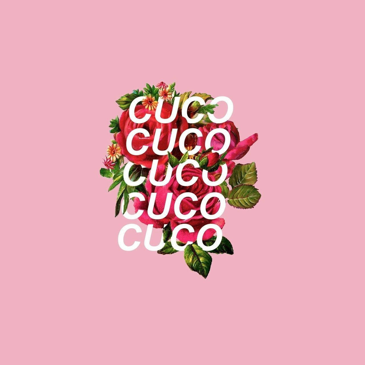 Cuco 將來自洛杉磯的獨特音樂帶給世界 壁紙 — 在柔和的粉紅色背景上，將大膽的白色「CUCO」文字疊加在由紅玫瑰和綠葉組成的鮮豔花卉佈置上。