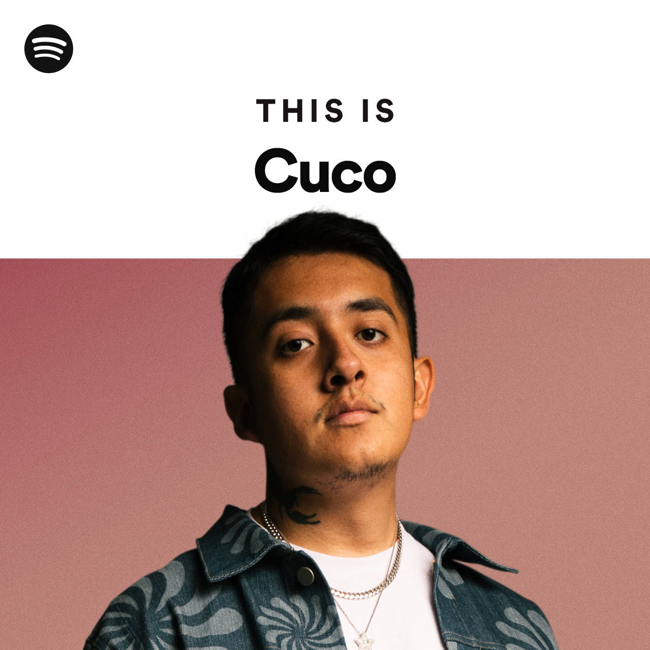 cuco - 這就是 Cuco 壁紙