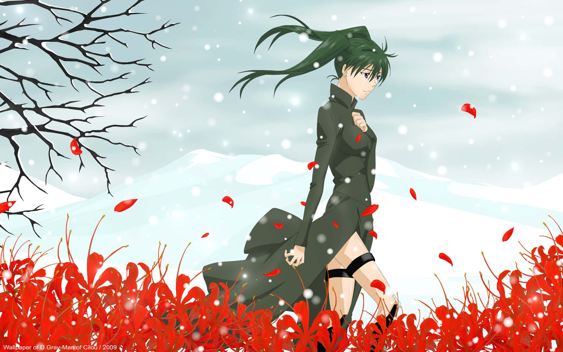 D Gray Man