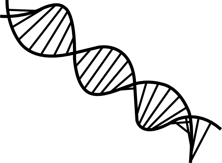 D N A 雙螺旋圖案 壁紙