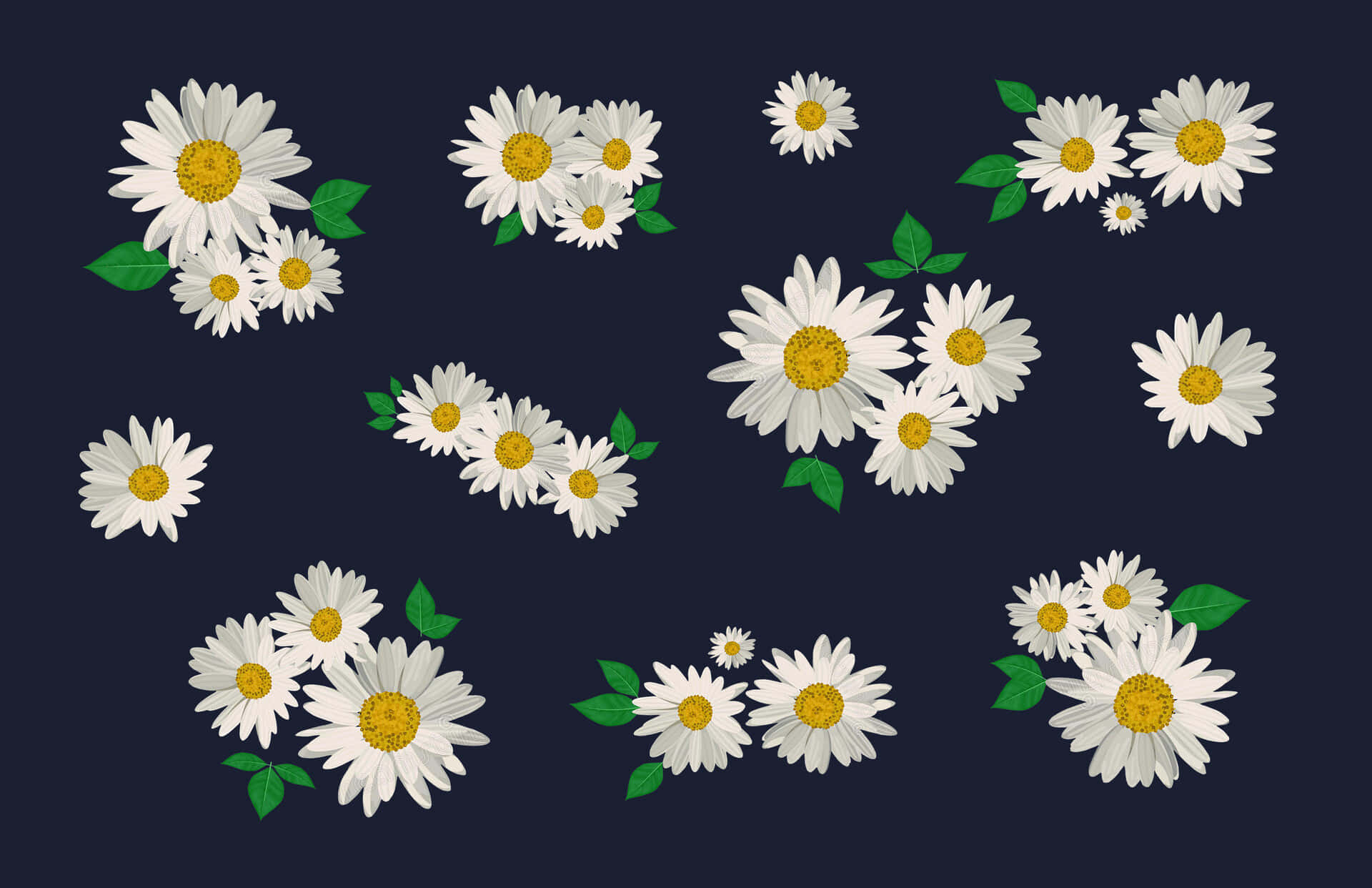 以 Daisy 美學領先潮流 壁紙 — 白色雛菊，黃色花心，綠色葉子，散落在深海軍藍背景上。
