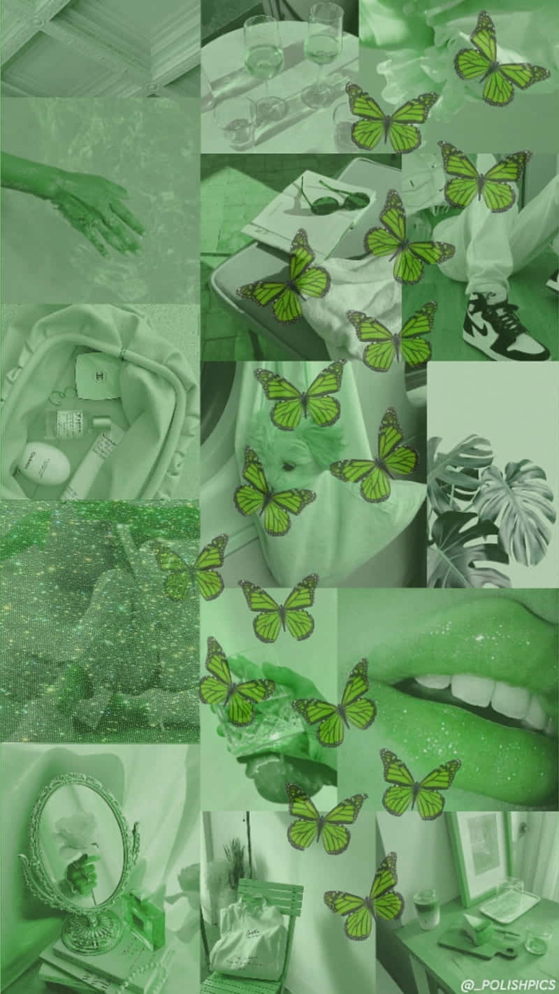 綠色調拼貼畫， featuring 蝴蝶、嘴唇、植物和個人物品，營造夢幻美感。 — 唯美蝴蝶動圖 壁紙