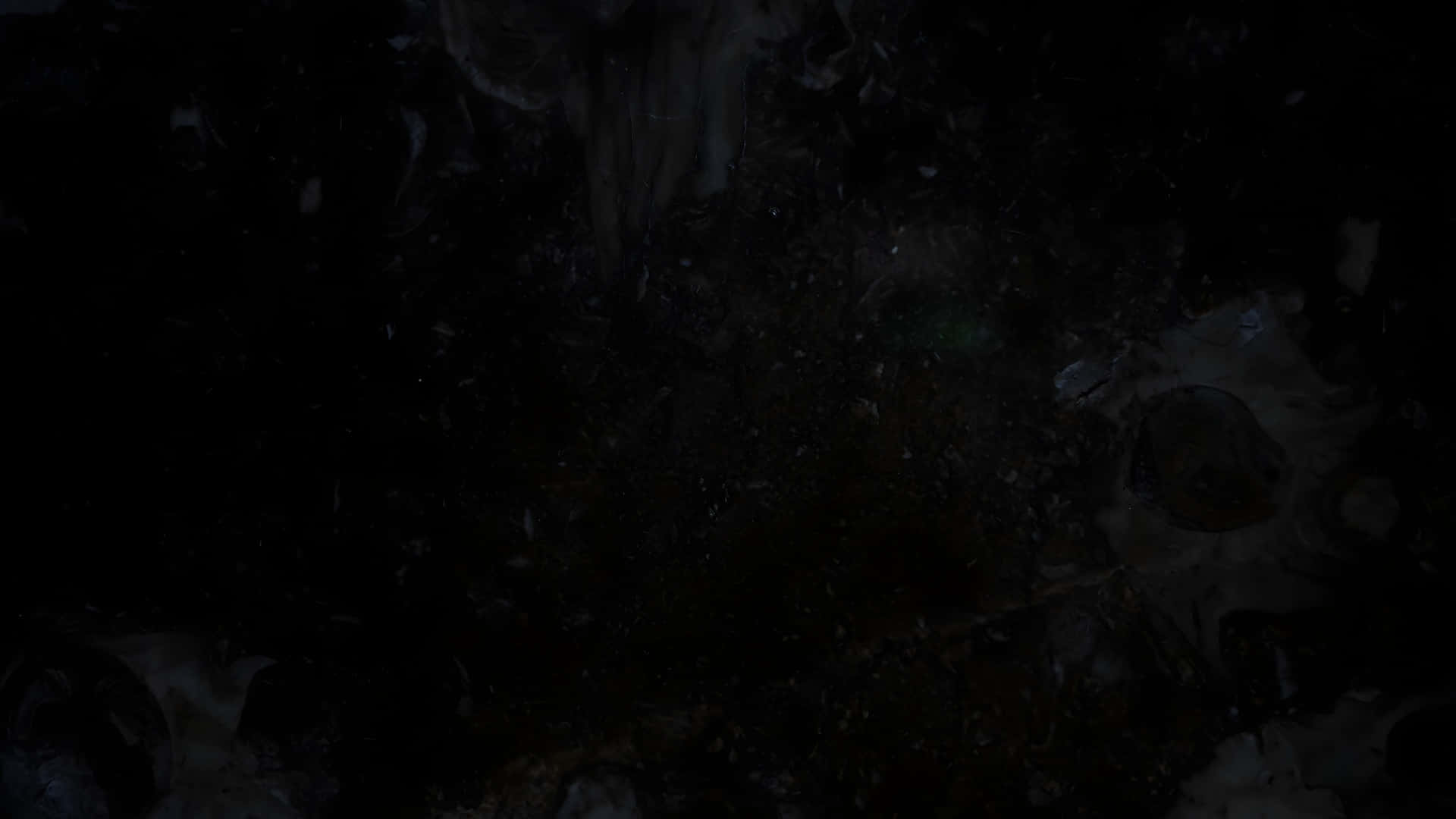  壁紙 — 暗黑抽象紋理，帶有微弱發光粒子及幾乎在全黑中看不見的微妙有機形狀。