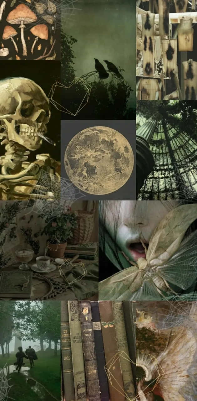 哥德式拼貼畫，包含骷髏頭、蜘蛛網、月亮和復古書籍，深色調。 — 唯美蝴蝶動圖 壁紙