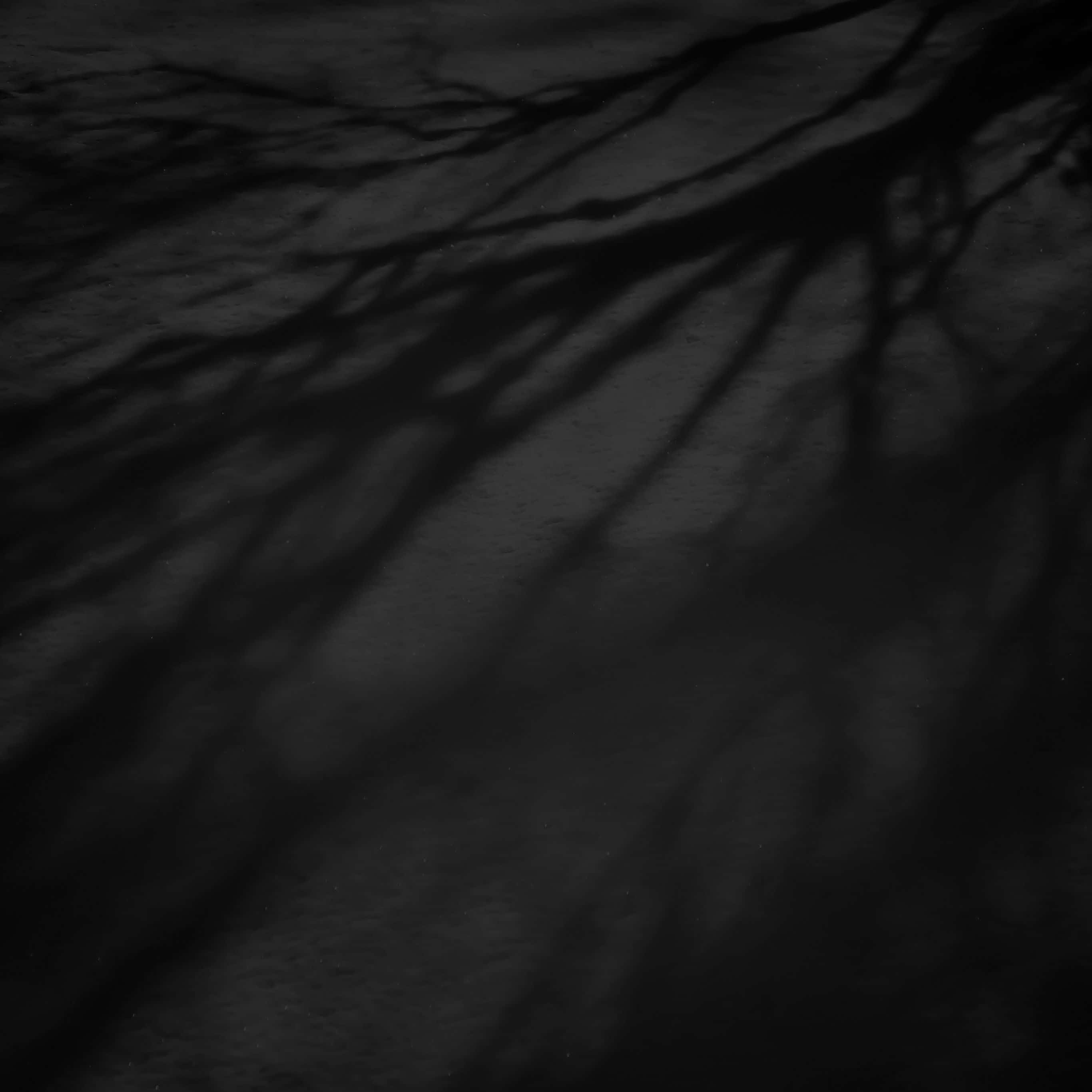 樹枝陰影 Dark iPad 壁紙 — 深色樹枝陰影在帶紋理的灰色表面上延伸，形成一種陰鬱的單色構圖。