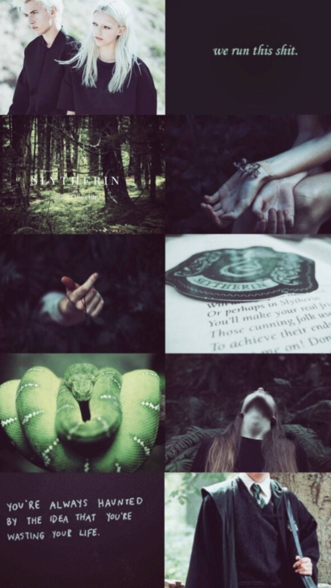 史萊哲林主題拼貼畫，包含綠蛇、森林語錄和身穿深色長袍的學生。