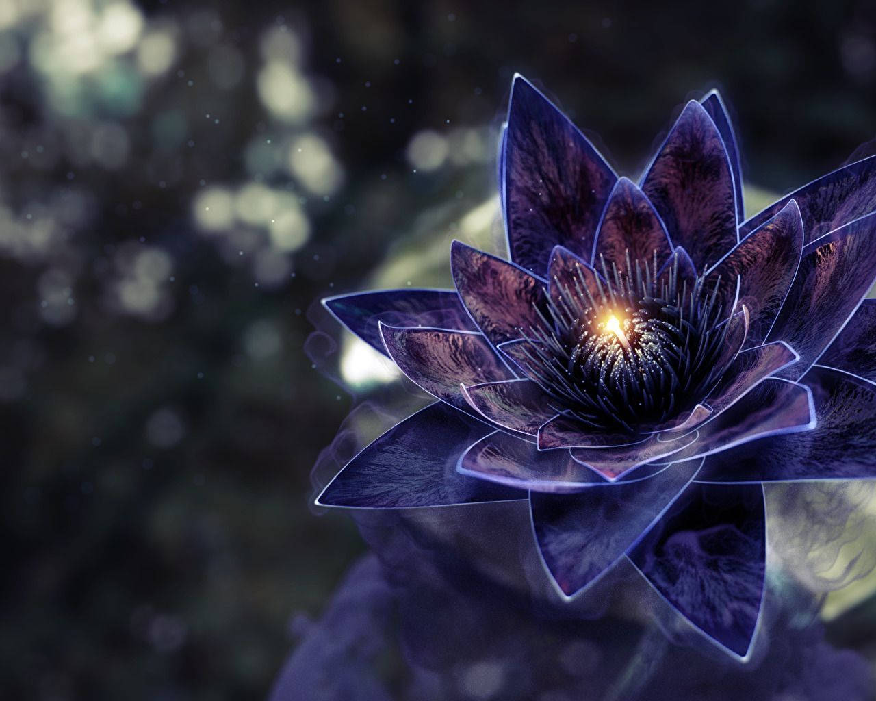 幽暗神祕蓮花