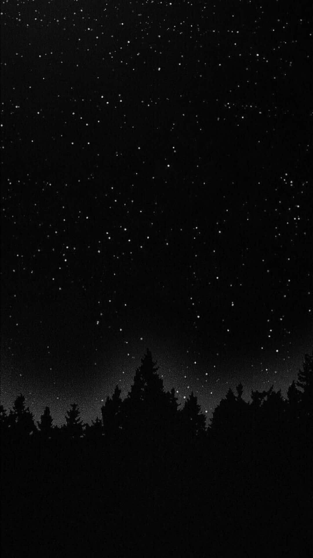 森林剪影之上的星空夜空