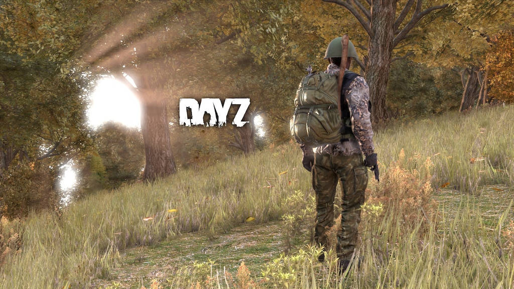 《DayZ》日光森林 壁紙 — 一名身穿迷彩裝備的士兵在陽光明媚的森林中穿過高草，背景中「DAYZ」字樣發光。