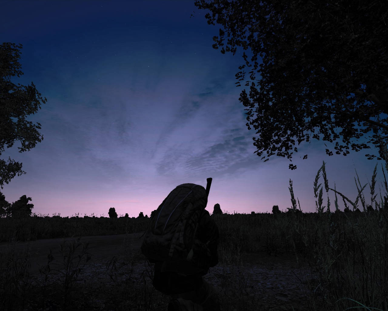 DayZ 日落剪影 壁紙 — 一個孤獨的揹著背包的遠足者，在樹枝框住的紫藍色雲彩暮色天空下形成剪影。