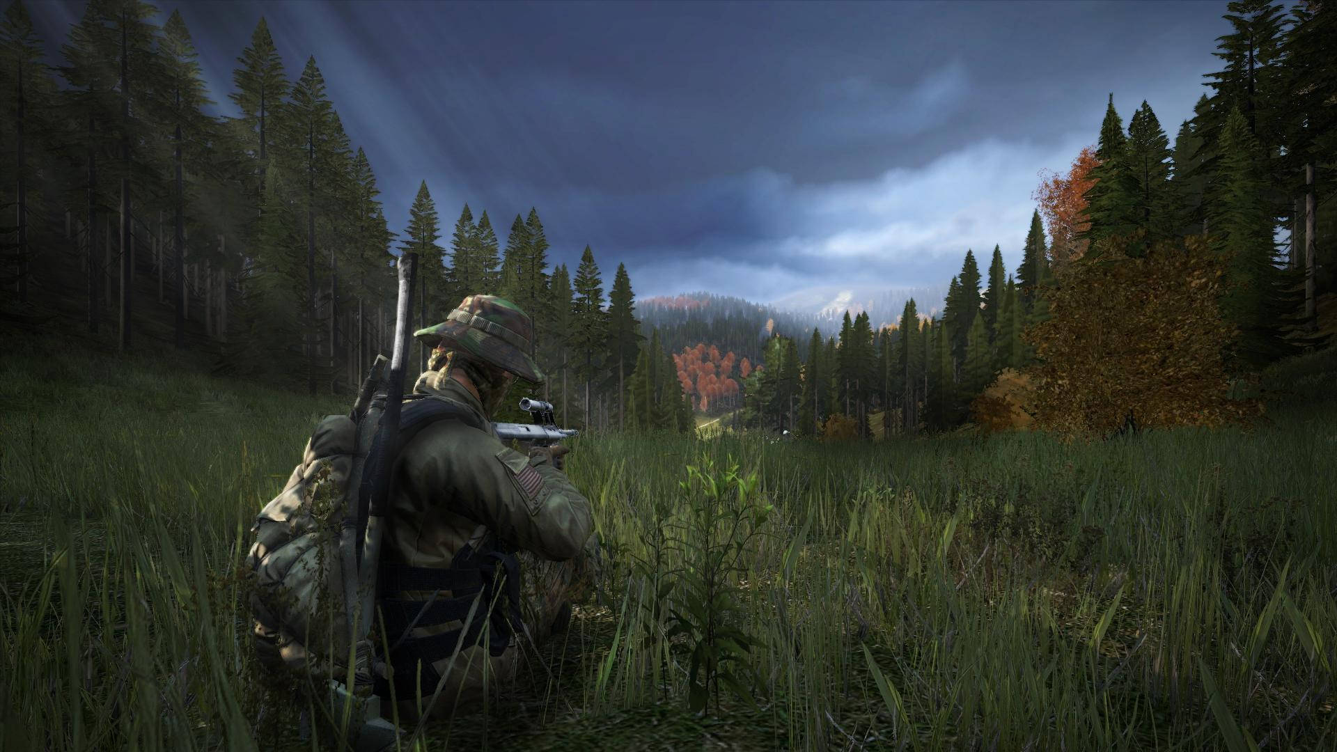 DayZ 狙擊手特寫 壁紙 — 一名身穿迷彩服的獵人蹲在高高的草叢中，在暴風雨的秋天下瞄準遠處的森林。