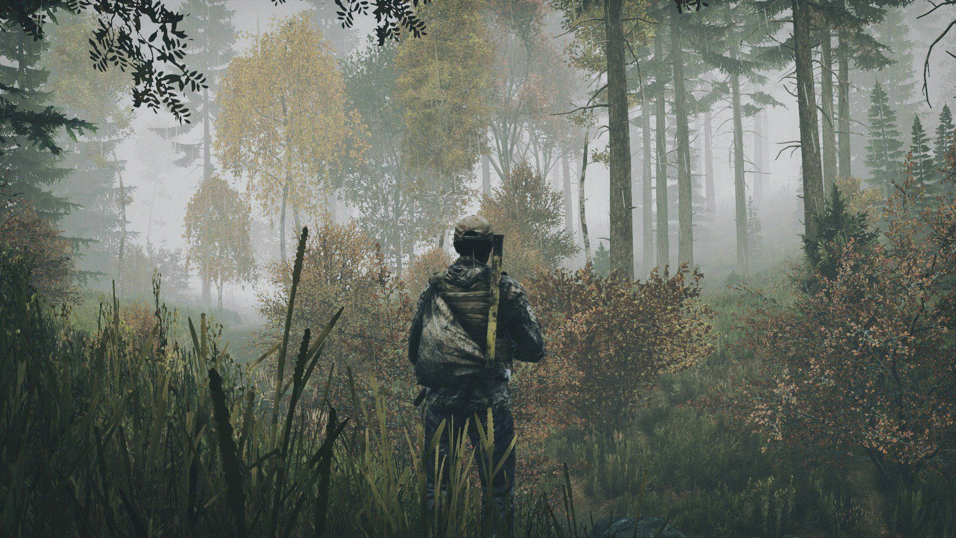 《DayZ》霧林 壁紙 — 一名孤獨的獵人穿著迷彩裝備，走過霧氣瀰漫的秋日森林，周圍有高高的草和高大的樹木。