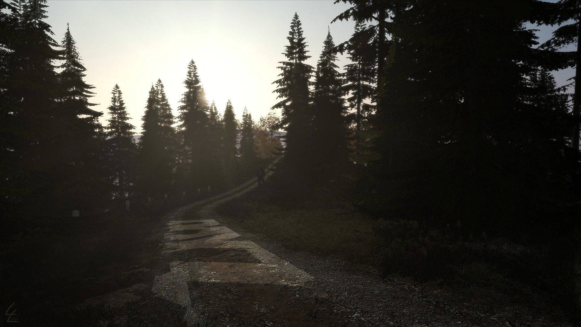 DayZ泥路 壁紙 — 黎明時分，一位孤獨的遠足者穿過茂密的松樹林，走在石徑上，陽光穿過樹木灑落。