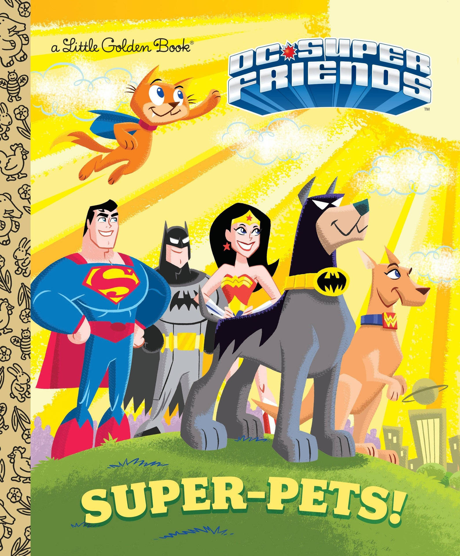 DC Super Friends 與他們的動物盟友在山丘上英勇地擺姿勢。
