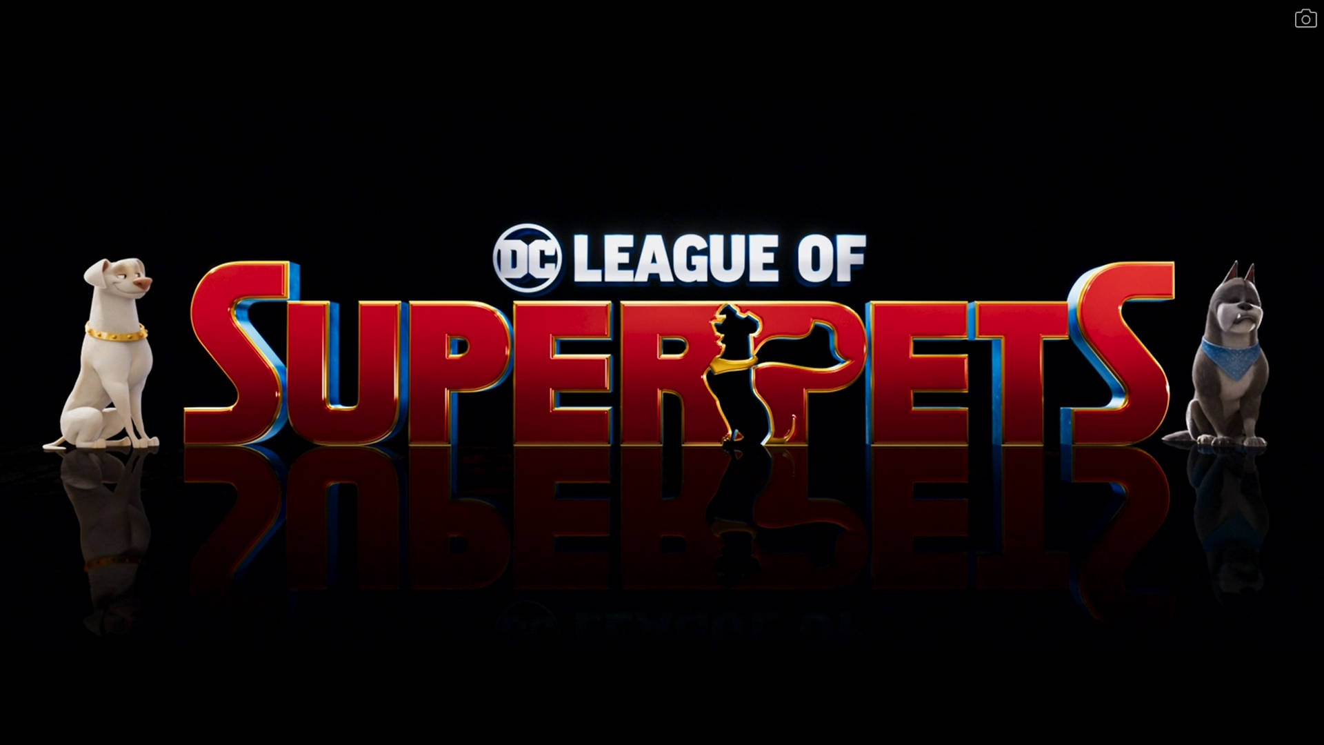 DC超級寵物聯盟 標誌配阿西 壁紙 — 大膽的紅色3D標題「DC League of Superpets」，三隻動畫寵物站在反光的黑色表面上。