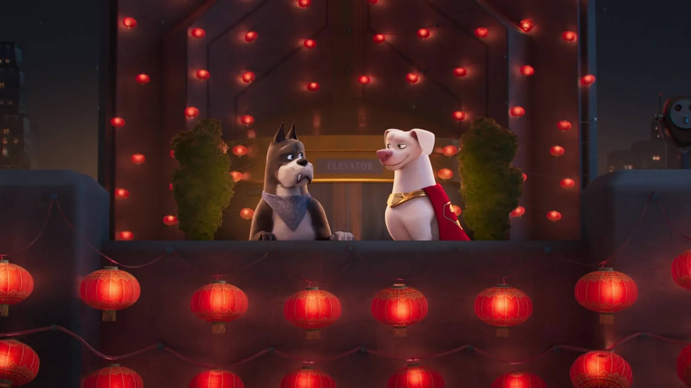 DC超級寵物隊：阿西與氪星犬 壁紙 — 兩隻動畫狗穿著超級英雄服裝，站在一個裝飾著發光紅燈籠和串燈的屋頂上，夜晚時分。