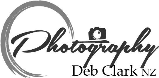 Deb Clark N Z 攝影工作室標誌 壁紙 — 極簡單色標誌，包含流暢書寫的「Photography」字樣、相機圖標和圓形筆觸。