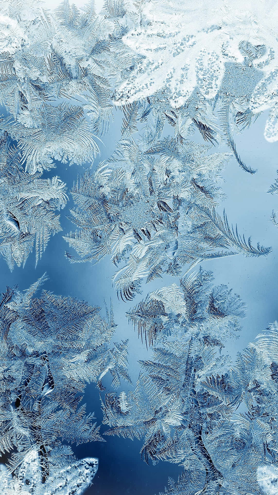 Ice Blue 桌布 壁紙 — 精緻的霜晶在冰藍色玻璃表面上綻放出複雜的圖案。