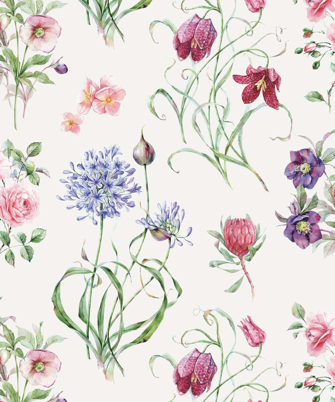 Watercolor Floral 桌布 壁紙 — 柔和奶油色背景上，以粉紅玫瑰、紫色銀蓮花和藍色蔥花組成的精緻水彩花卉圖案。