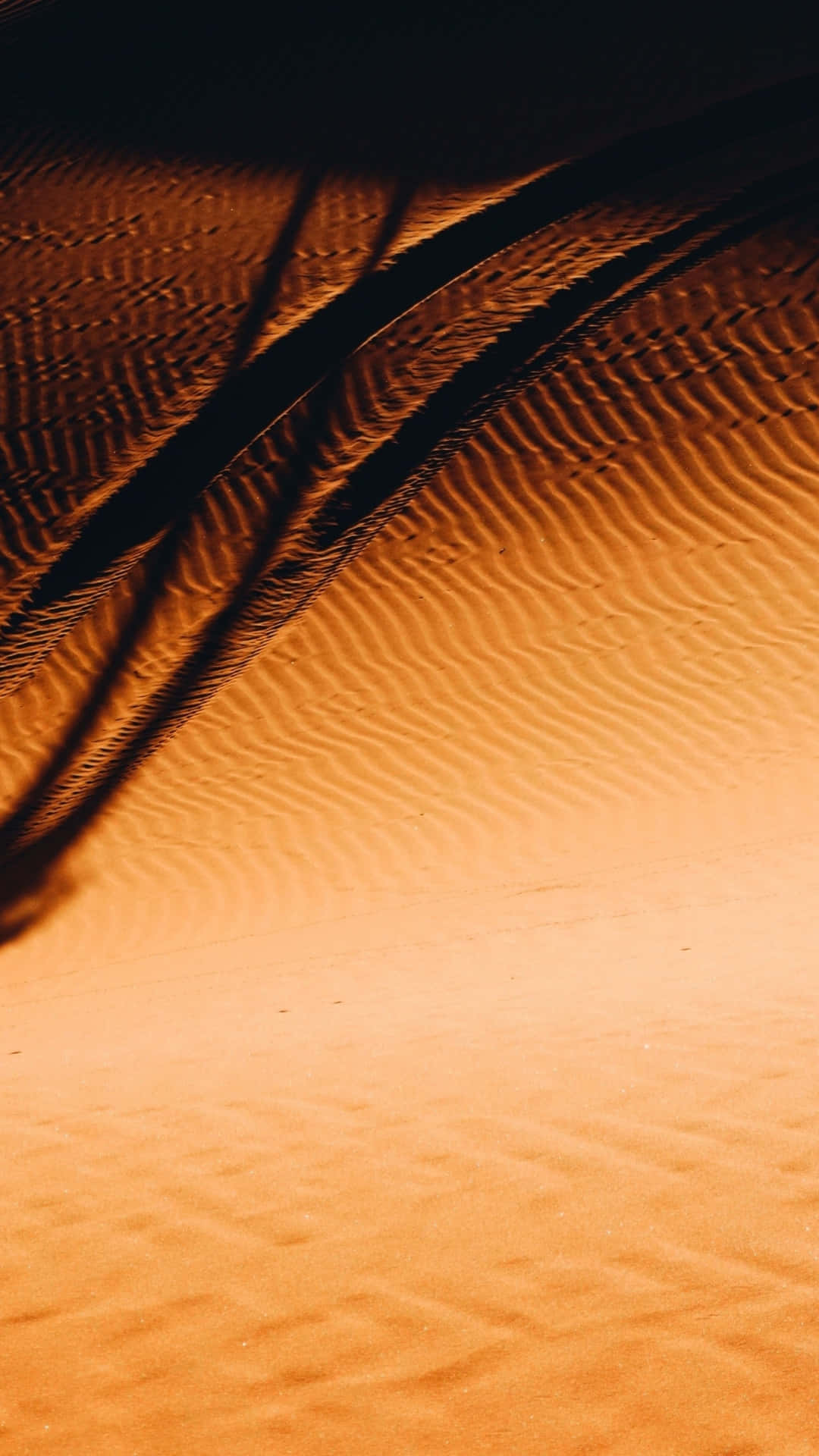 用 Desert iPhone 隨處欣賞自然之美 壁紙 — 金色沙丘在溫暖光線下泛起漣漪，長長的暗影在其紋理表面延伸。