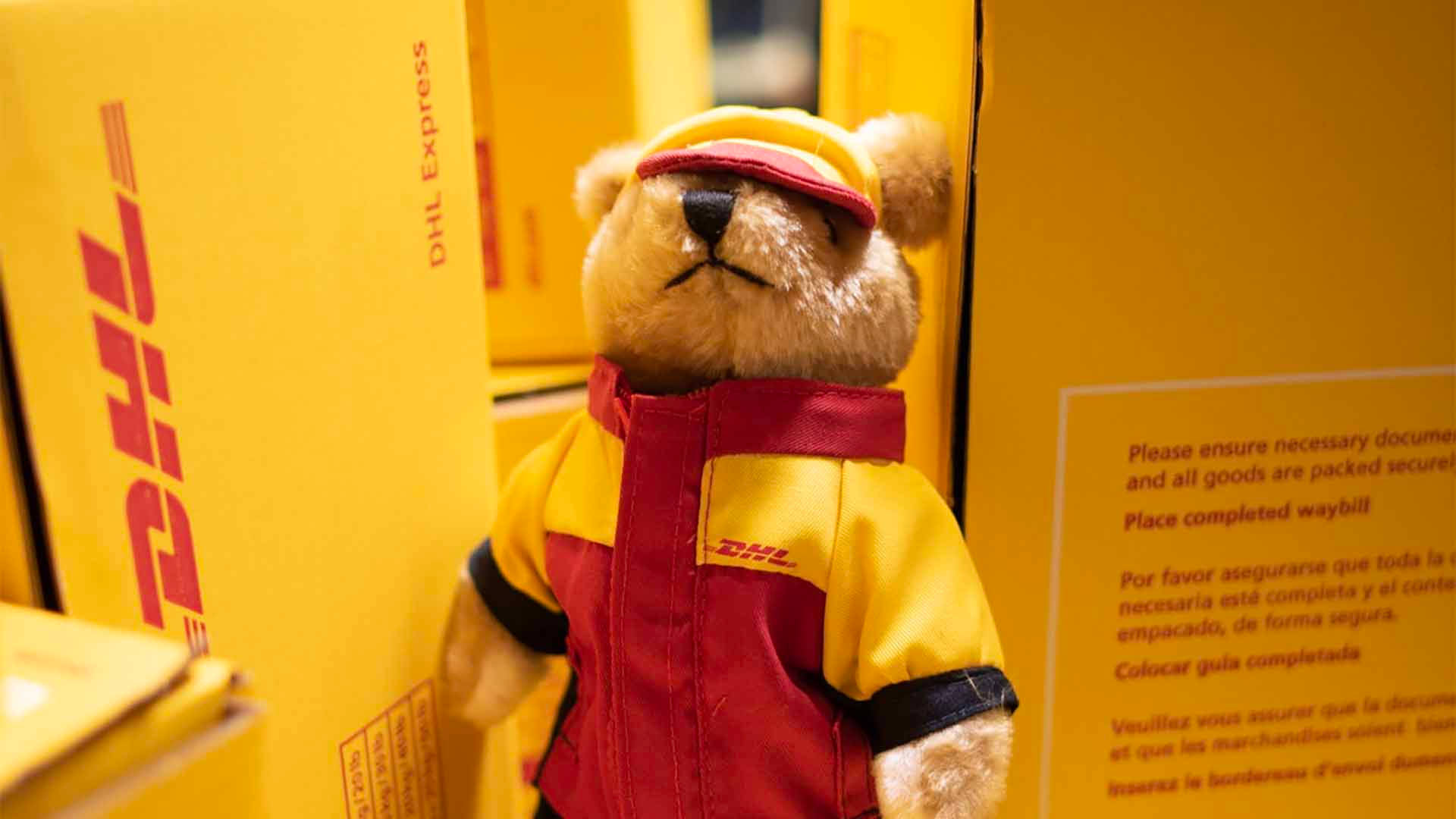 DHL泰迪熊 壁紙 — 一隻穿著DHL送貨制服嘅毛絨玩具熊企喺黃色嘅送貨箱之間。