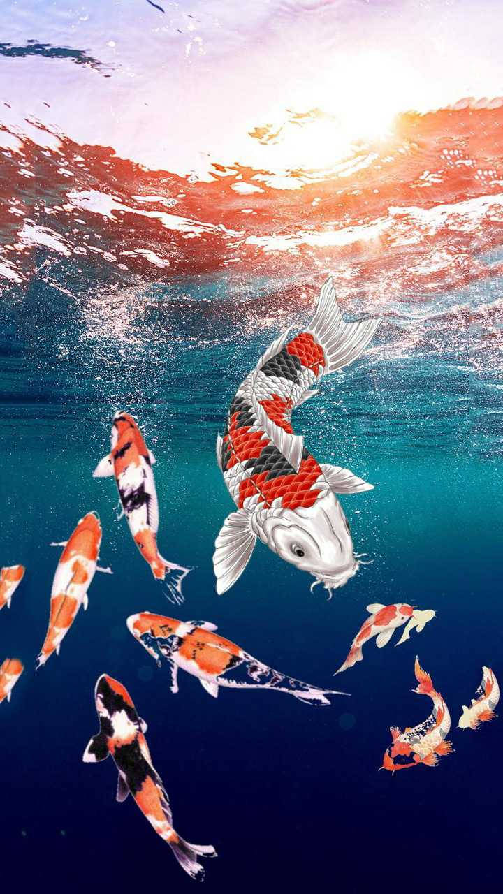 鯉魚數位藝術 iPhone 壁紙