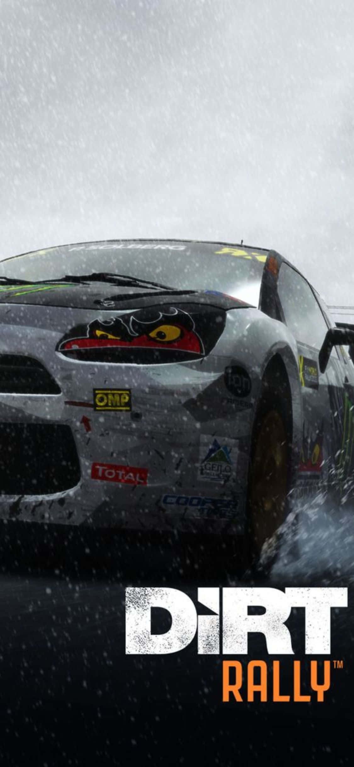 dirt rally 電腦遊戲 壁紙