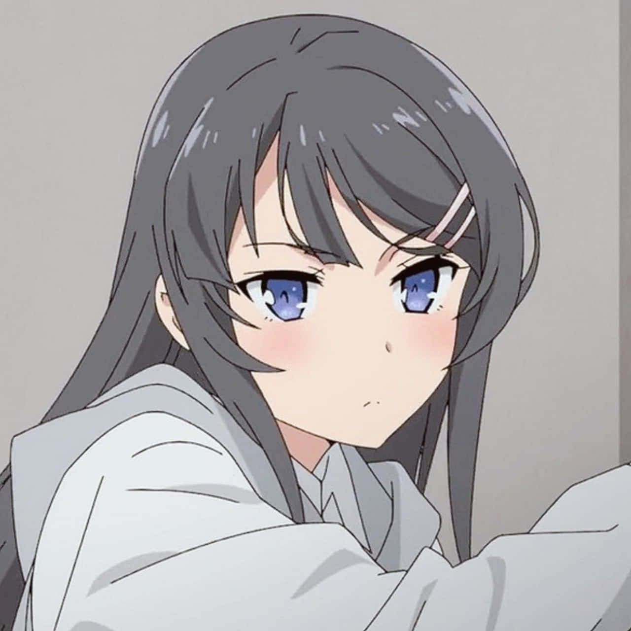 Discord動漫頭像：小嘴不悅的櫻島麻衣 壁紙 — 一個特寫動漫女孩，長灰色頭髮和明亮的藍色眼睛，溫柔地凝視著，穿著白色連帽衫。