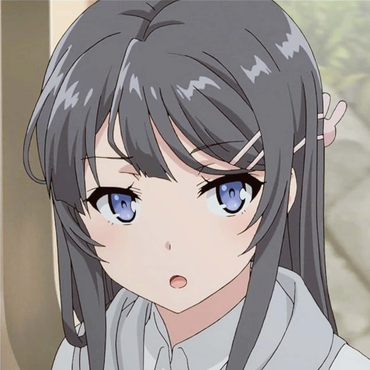 Discord動漫頭像：戴髮夾的櫻島麻衣 壁紙 — 一個驚訝的動漫女孩，灰色頭髮和藍色眼睛，睜大眼睛，微微張開嘴巴，直視觀眾。