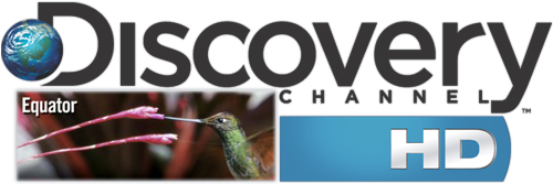 Discovery Channel 高畫質標誌配蜂鳥 壁紙 — 一隻蜂鳥在Discovery Channel標誌旁邊從一朵粉紅色的花中吸取花蜜。