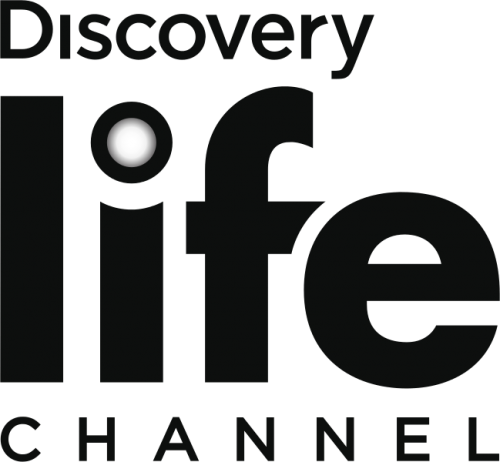 Discovery Life 頻道標誌 壁紙 — Discovery Life Channel 標誌，採用粗體深色字體，字母 i 上有一個發光的白色圓點，背景為黑色。
