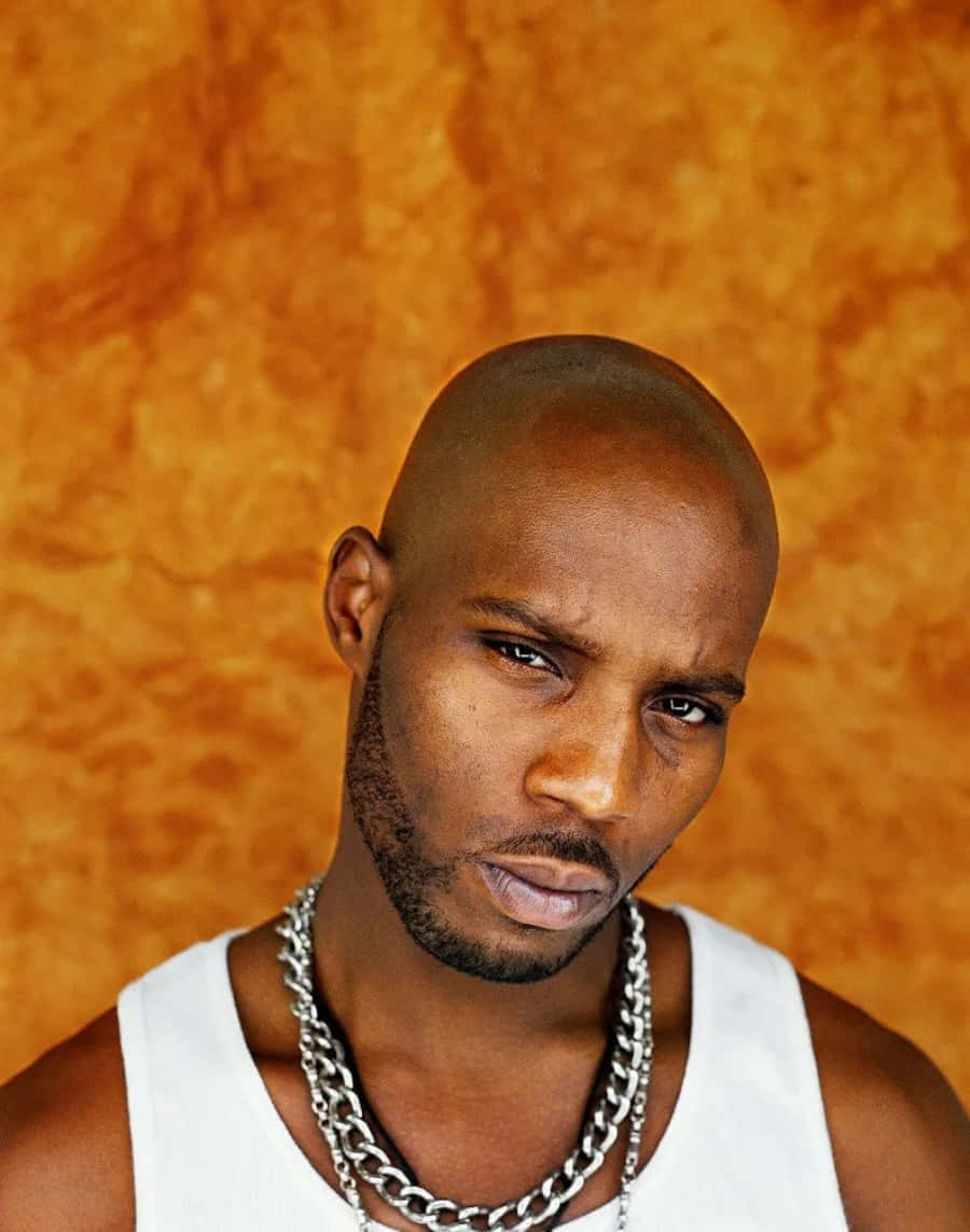 Dmx 圖片 壁紙