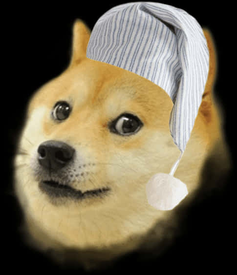 戴睡帽的Doge迷因 壁紙 — 一隻柴犬戴著藍白條紋睡帽，黑色背景的特寫。