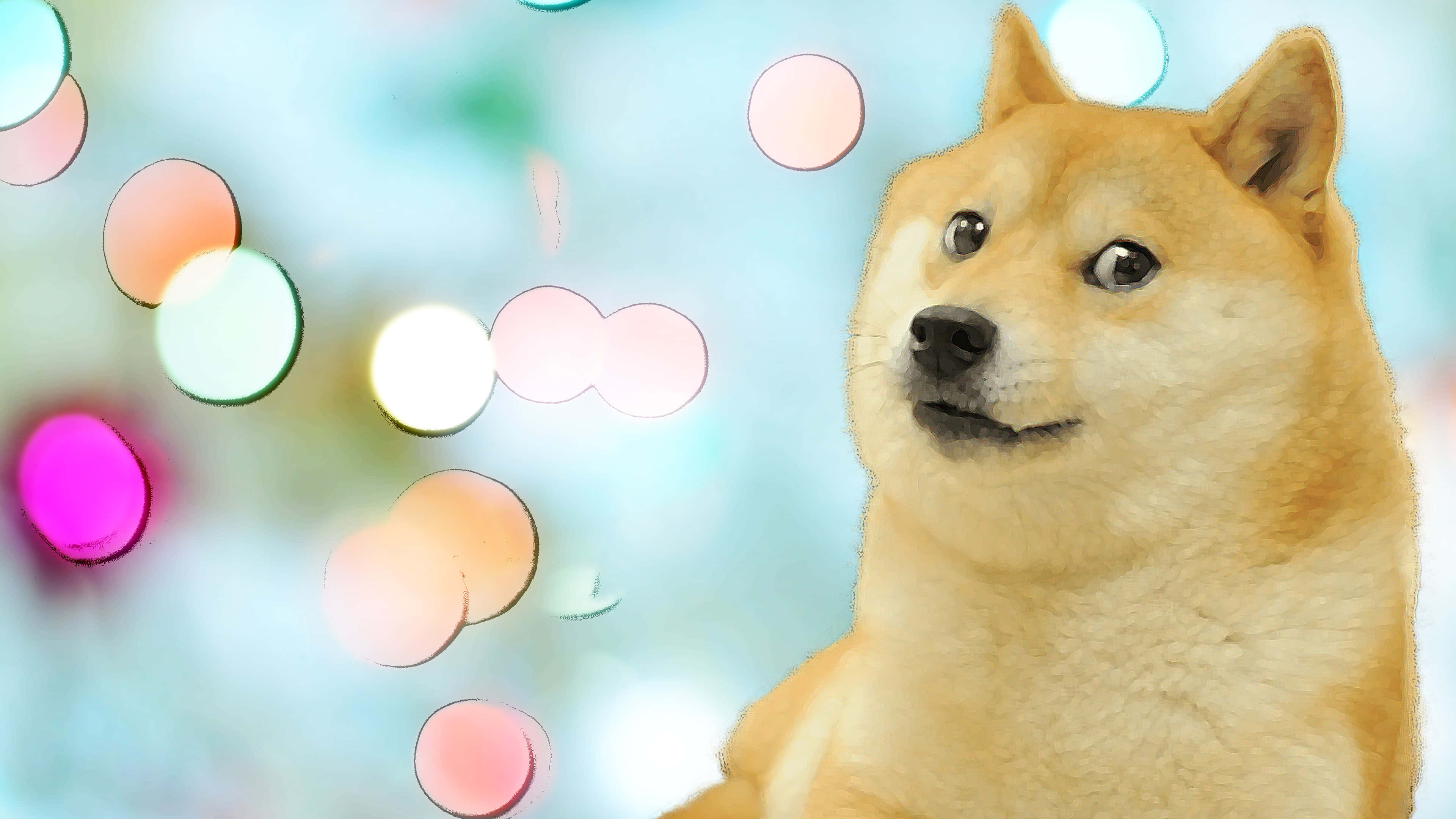 帶有散景背景的Doge 壁紙 — 一隻眼睛大大的柴犬，在色彩繽紛的柔和散景燈光背景下向前凝視。