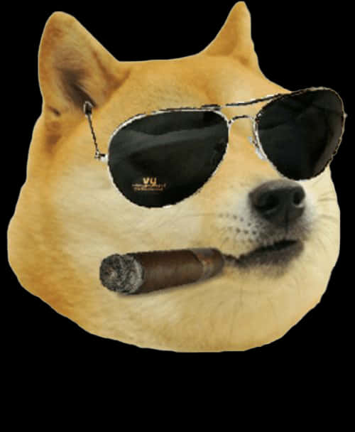戴太陽眼鏡與雪茄的酷 Doge 壁紙 — 一隻柴犬戴著飛行員太陽眼鏡，手持雪茄，背景為黑色。