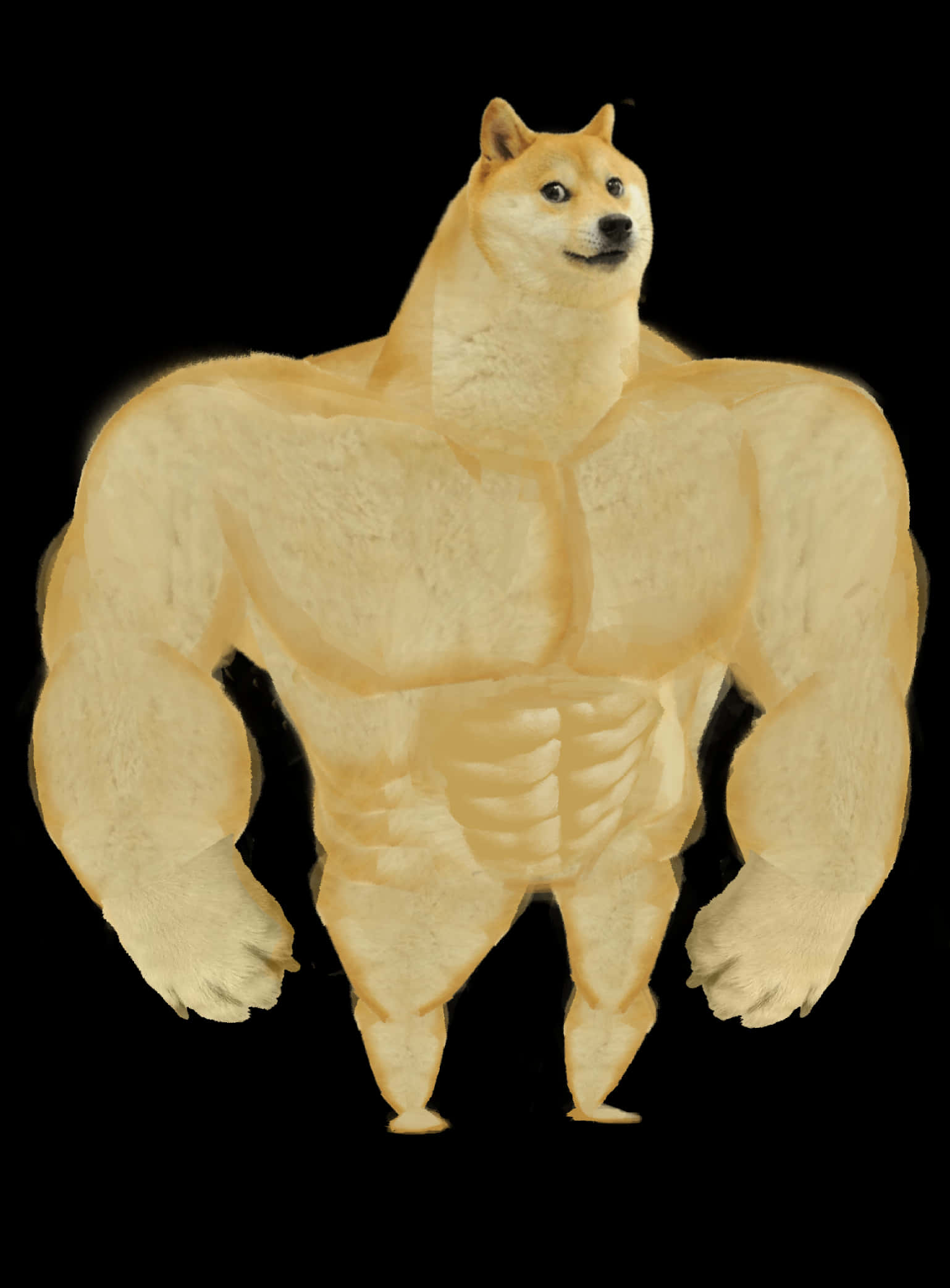 肌肉型Doge迷因 壁紙 — 一隻肌肉發達的柴犬自信地站在黑色背景前，擁有清晰的腹肌和肱二頭肌。