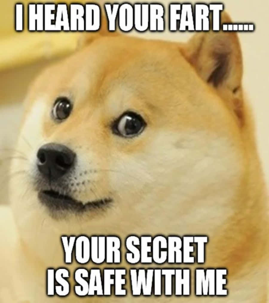 超搞笑Doge梗圖 壁紙 — 柴犬嘅特寫，對眼大大，表情得戚，下面有粗體字。